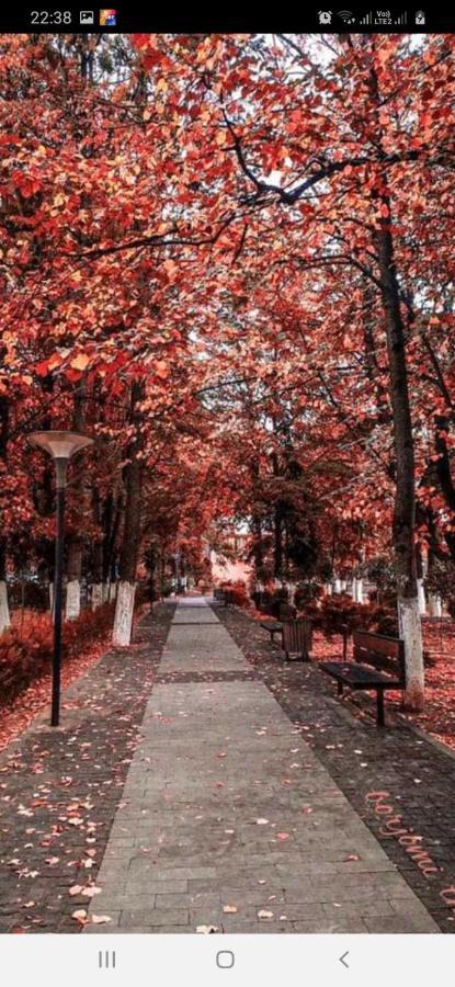 Gamsakhurdia Street Borzsomi Kültér fotó