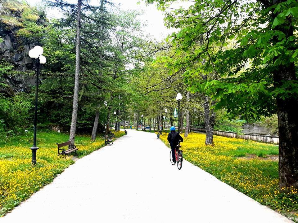 Gamsakhurdia Street Borzsomi Kültér fotó